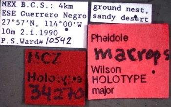Media type: image;   Entomology 34270 Aspect: labels